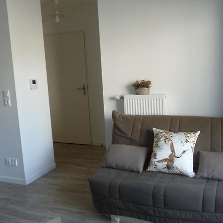 Pour Visiter Ou Travailler Dans Le Loiret Lägenhet Saint-Jean-de-Braye Exteriör bild